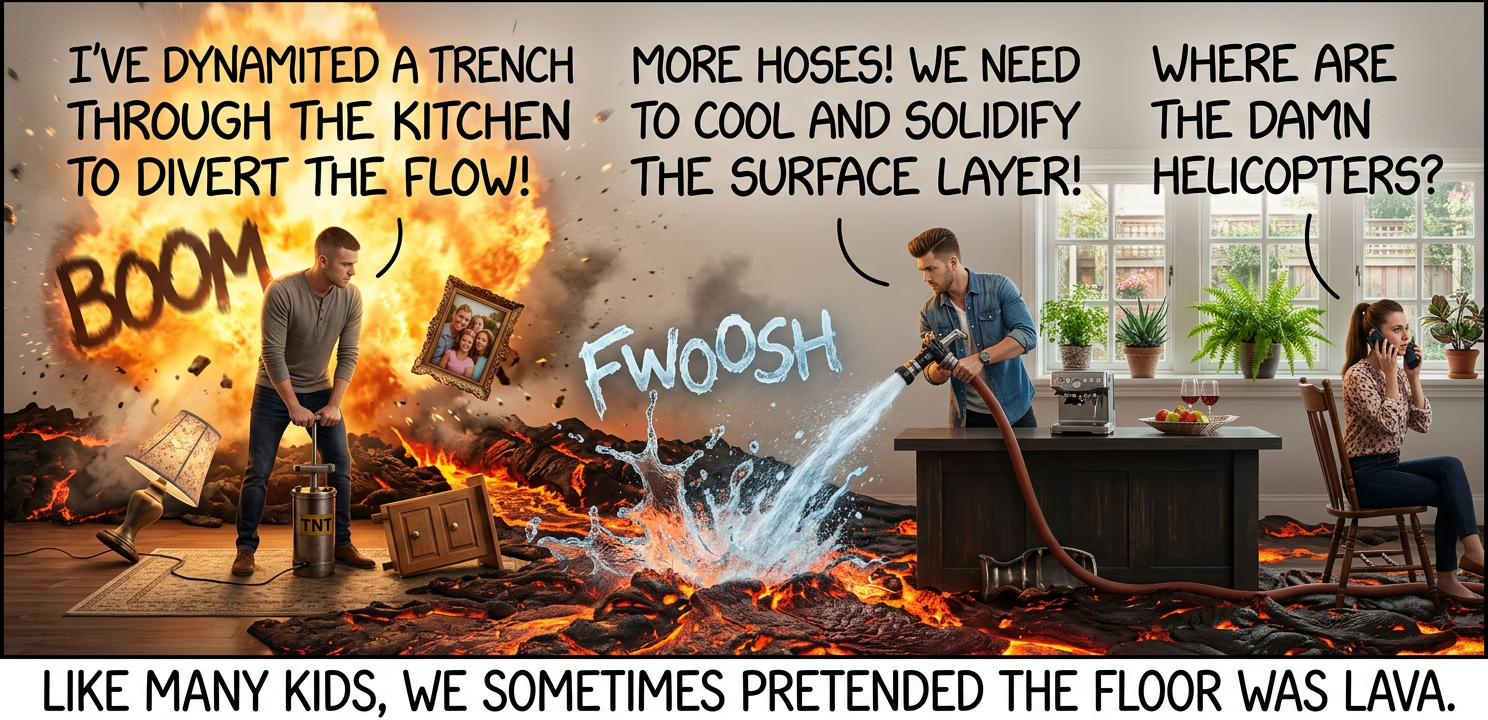 We once got grounded when we convinced the FAA to block flights through our county because of ash clouds.